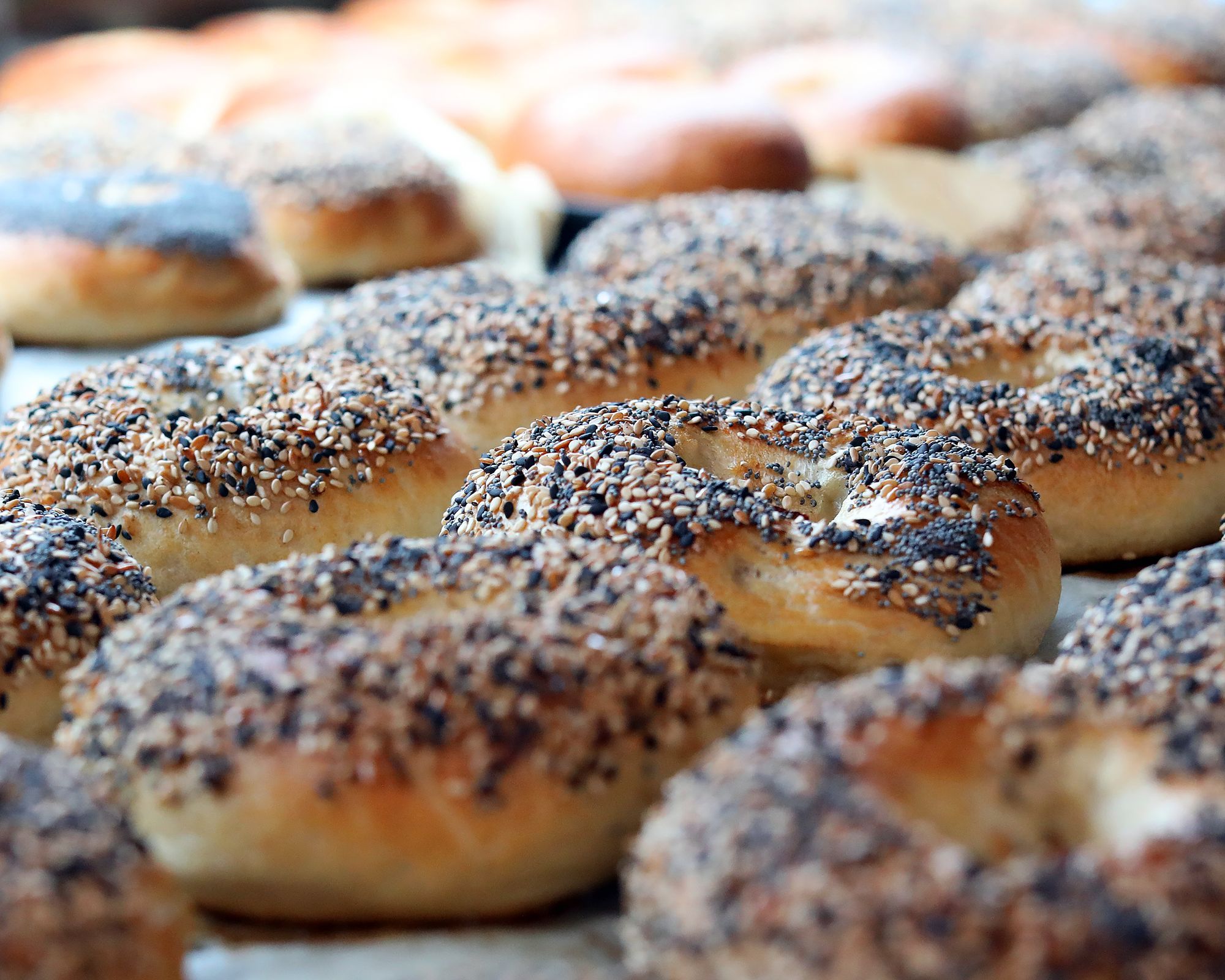 Everything bagels fresh from the oven